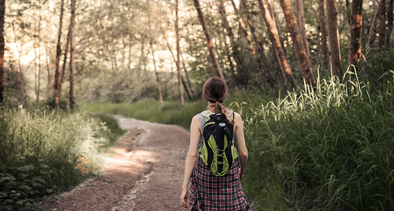 Aktiv Wandern Eine Frau mit einem Rucksack geht auf einem unbefestigten Weg durch den üppigen, grünen Wald der Gemeinde Moorenweis, wo das Sonnenlicht durch die hohen Bäume fällt und die ruhige Landschaft beleuchtet.