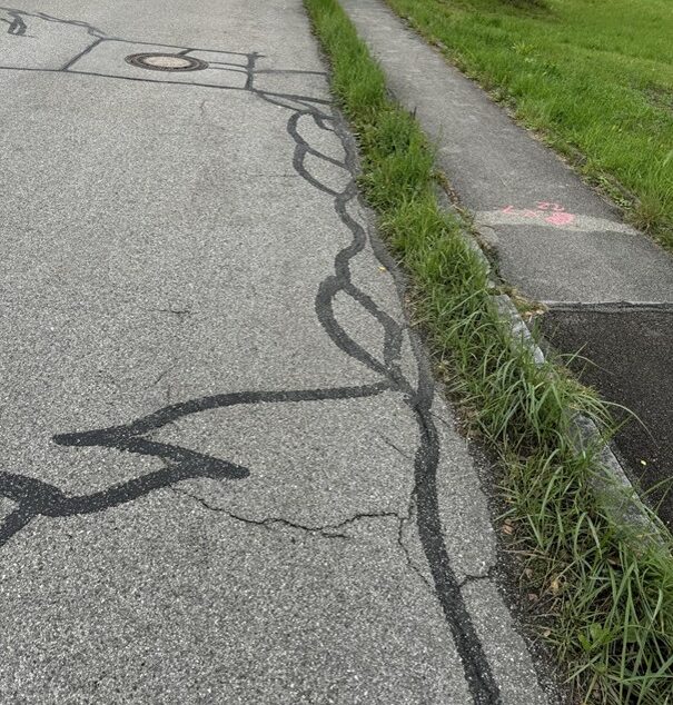 Eine rissige Asphaltstraße mit dunklen Zickzack-Teerreparaturen verläuft neben einem Gehweg, der von hohem Gras und einer Grasfläche begrenzt wird. Im Hintergrund ist ein Baum in der Nähe des Bürgersteigs zu sehen.