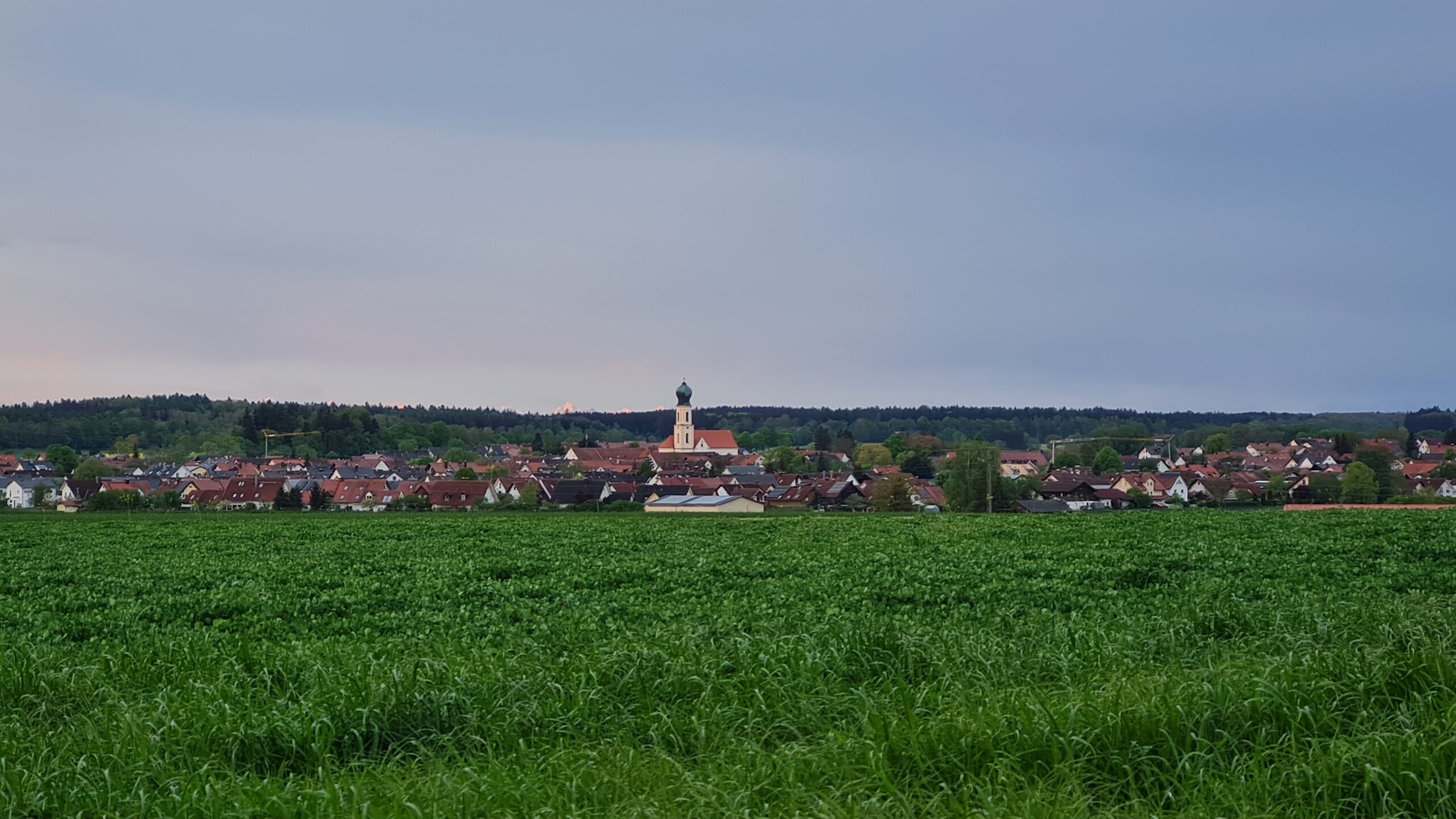 Ein üppiges grünes Feld erstreckt sich in Richtung einer kleinen Stadt mit roten Häusern und einer Kirche mit einem hohen Kirchturm unter einem bewölkten Abendhimmel, der in der Ferne von einer Baumreihe begrenzt wird.