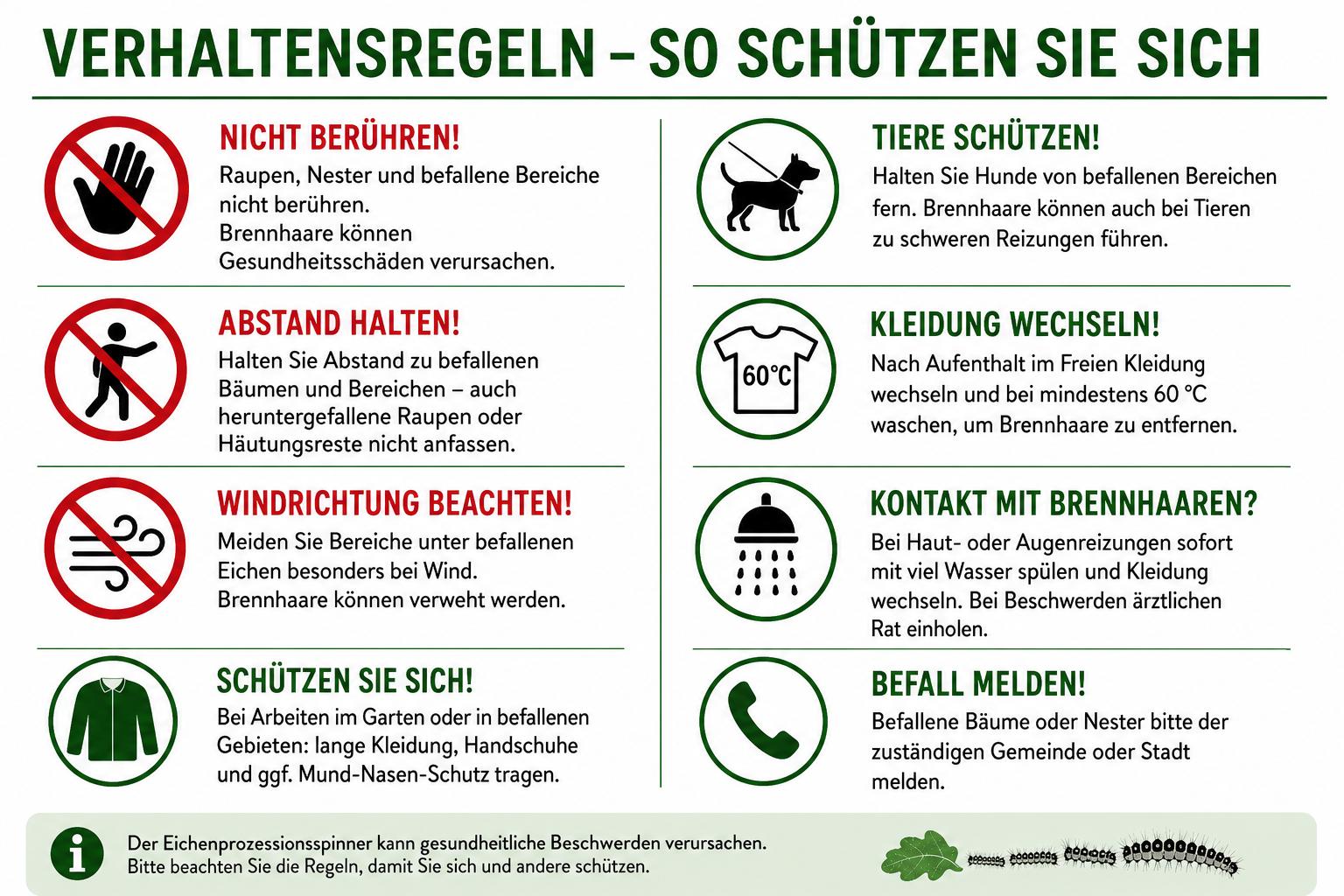 35094255-117d-430b-958c-f4c84c024760 Infografik mit Verhaltensregeln zum Schutz vor Eichenprozessionsspinnern: Nicht berühren, Abstand halten, Windrichtung beachten, Hunde fernhalten, Kleidung wechseln, Kontakt vermeiden, um Hilfe bitten und Sichtungen melden.