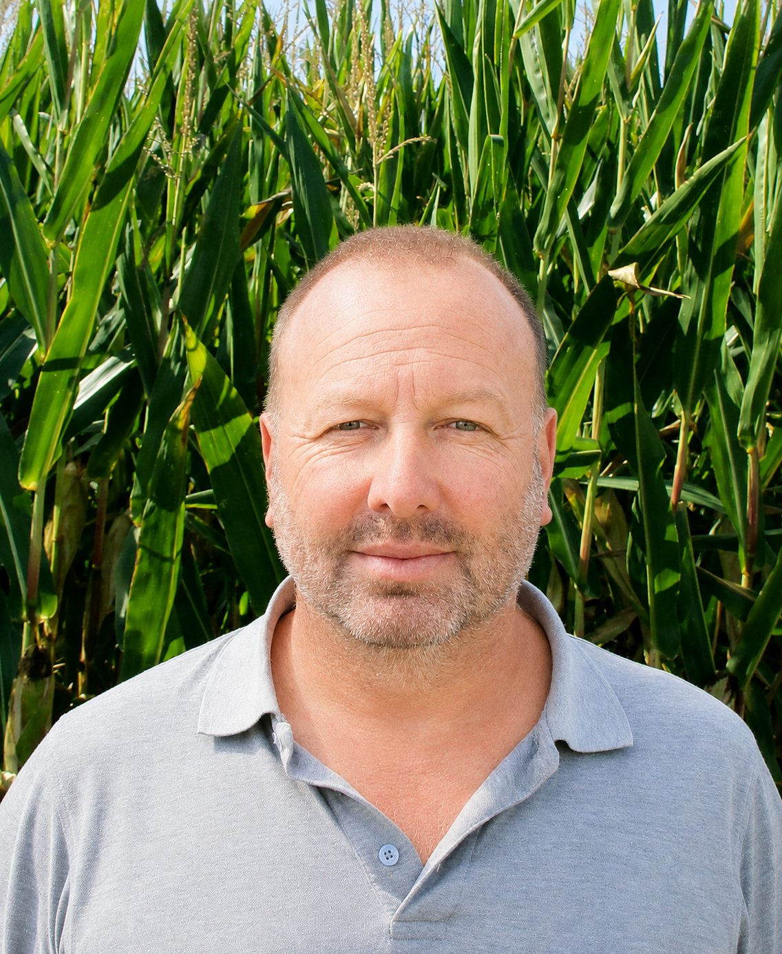 Thomas Tauscher, BVM